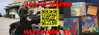 молекула духа Донецк
