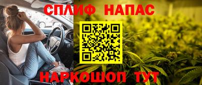 ПСИЛОЦИБИНОВЫЕ ГРИБЫ Дубна